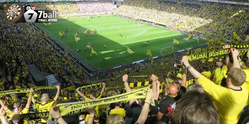 Tại sao nên chọn cá độ bóng đá 77ball?