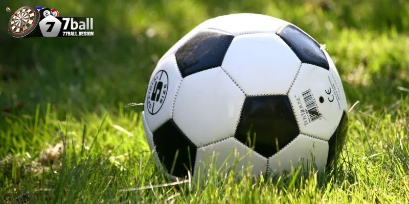 Hướng dẫn cách đọc và hiểu tỷ lệ kèo